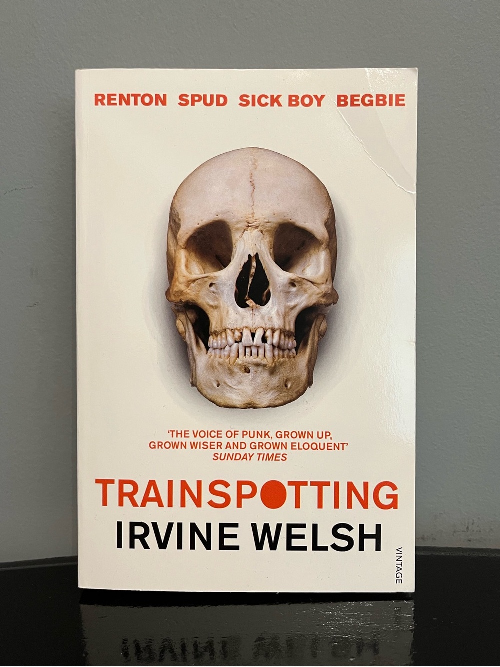Brand New (With Flaws) Copy of Trainspotting by Irvine Welsh